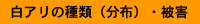 白アリの種類（分布）・被害